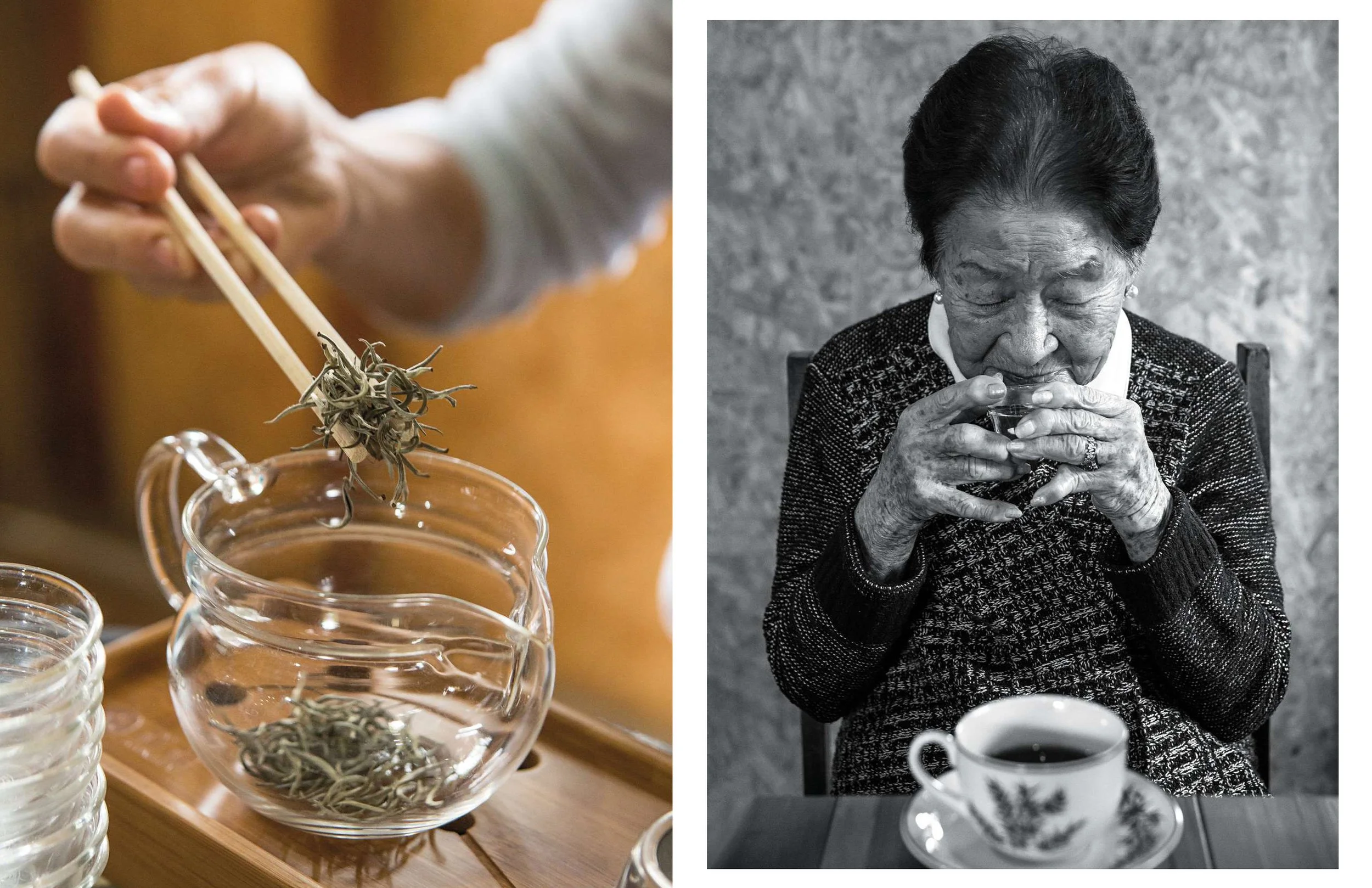 EAT_Chá_Sítio Shimada_Registro_Sp.jpg