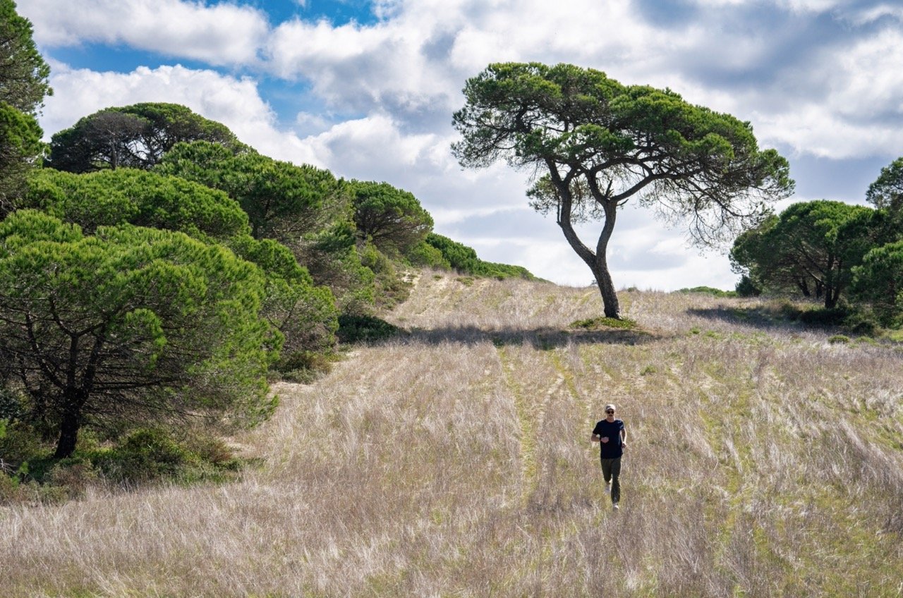 AROEIRA_D3-331-2 Large.jpeg