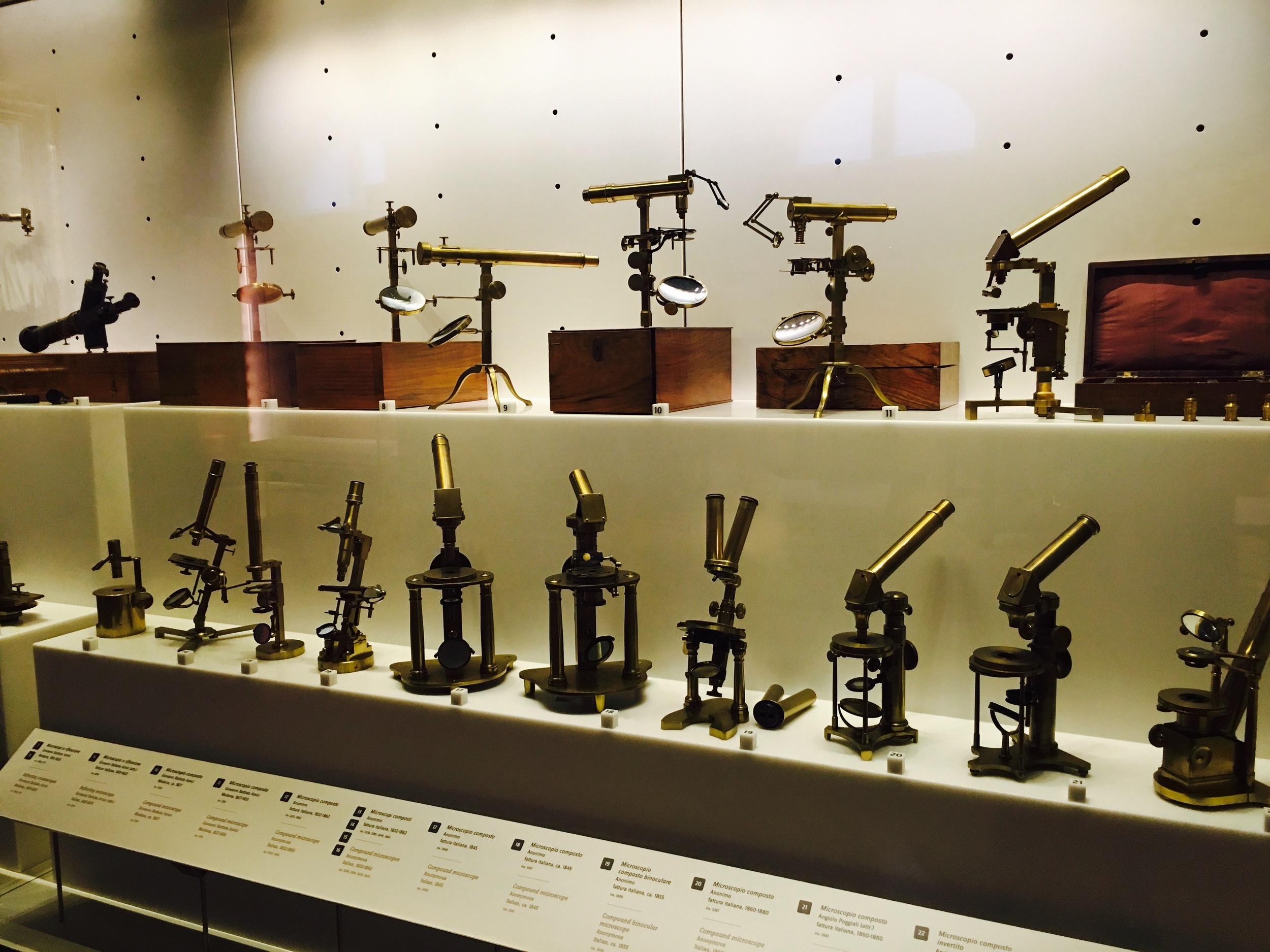 Early microscopes