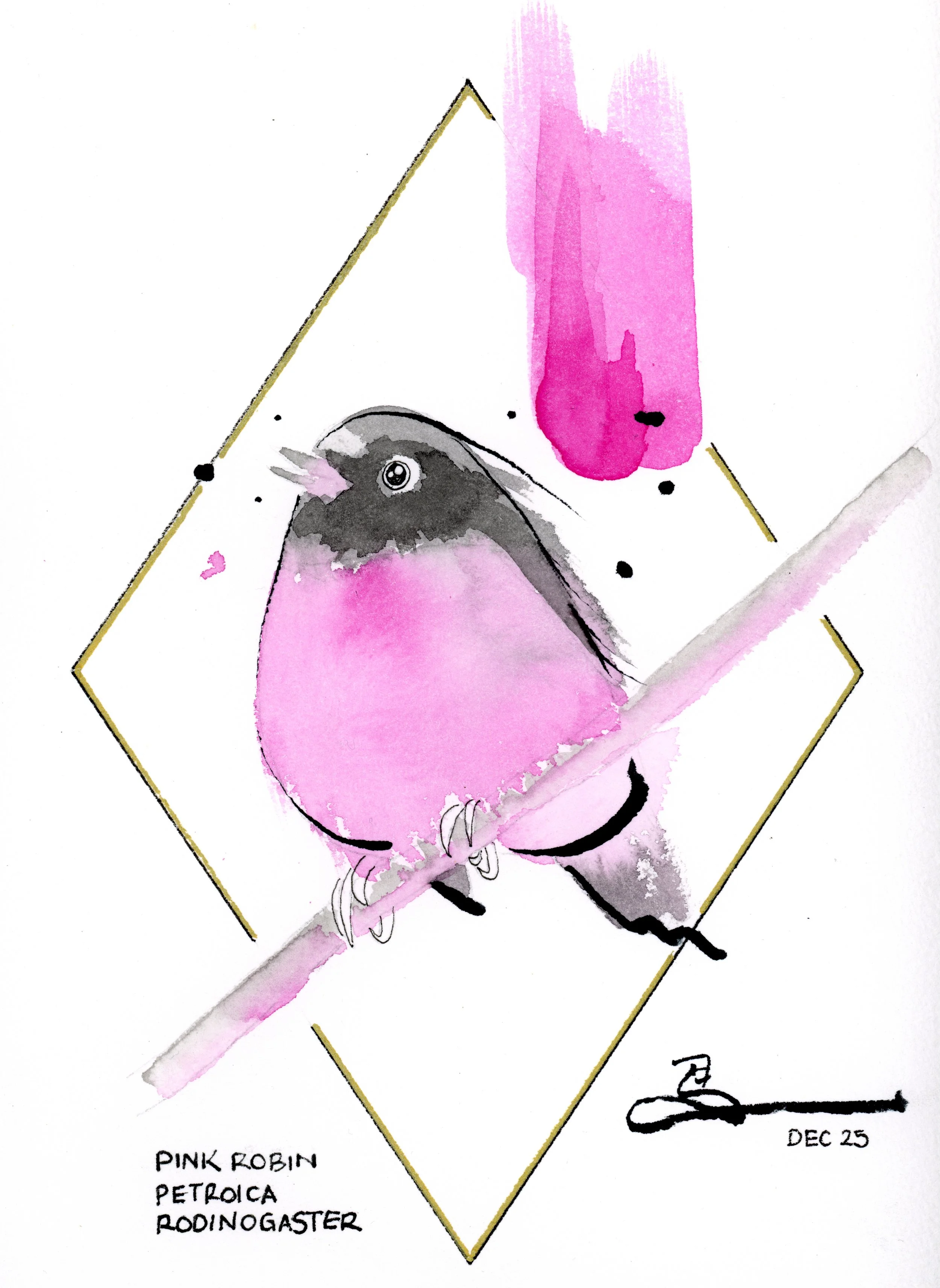 Art Deco Birds: Pink Robin #2, Framed in A3