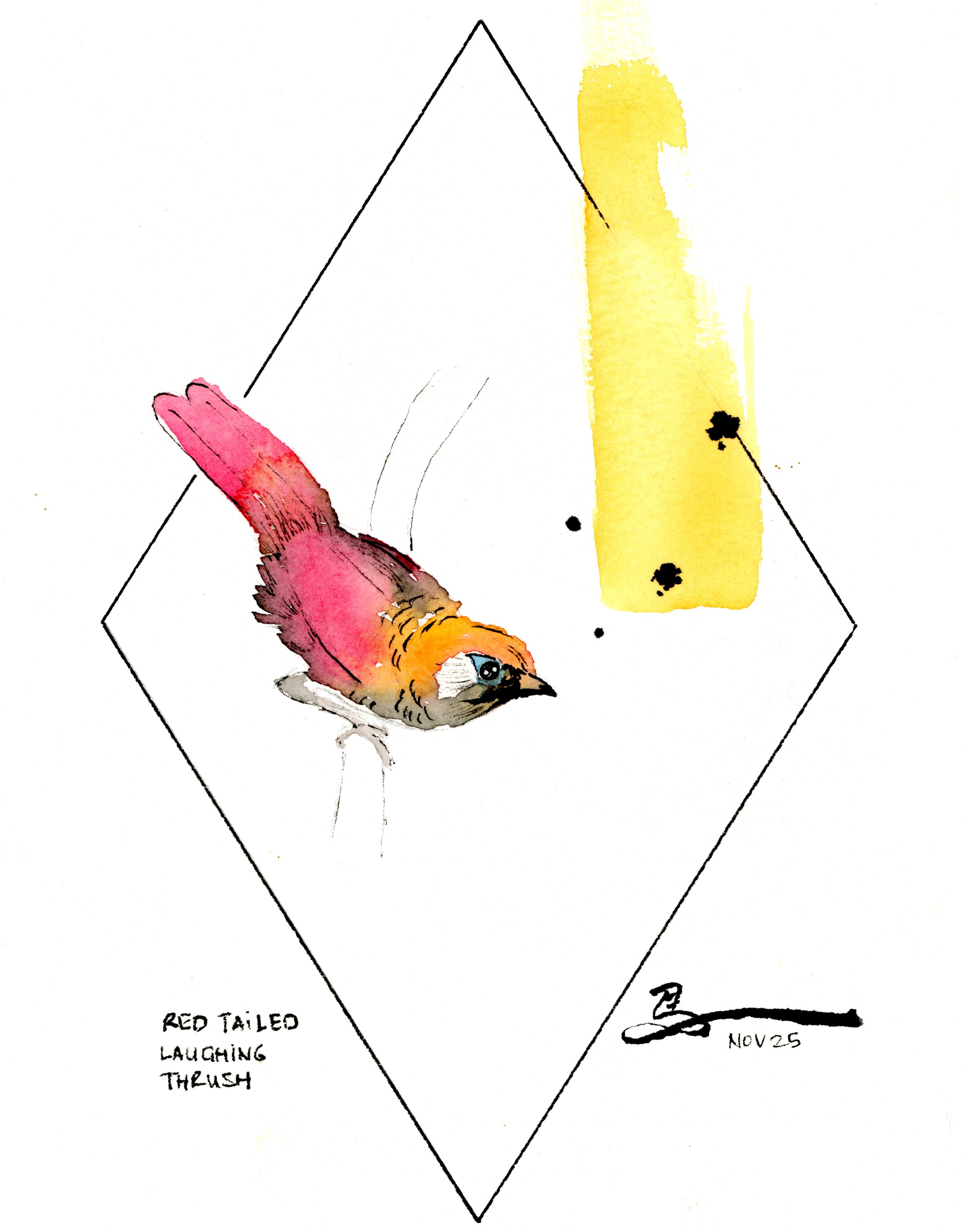 Art Deco Birds: Red Tailed Laughing Thrush
