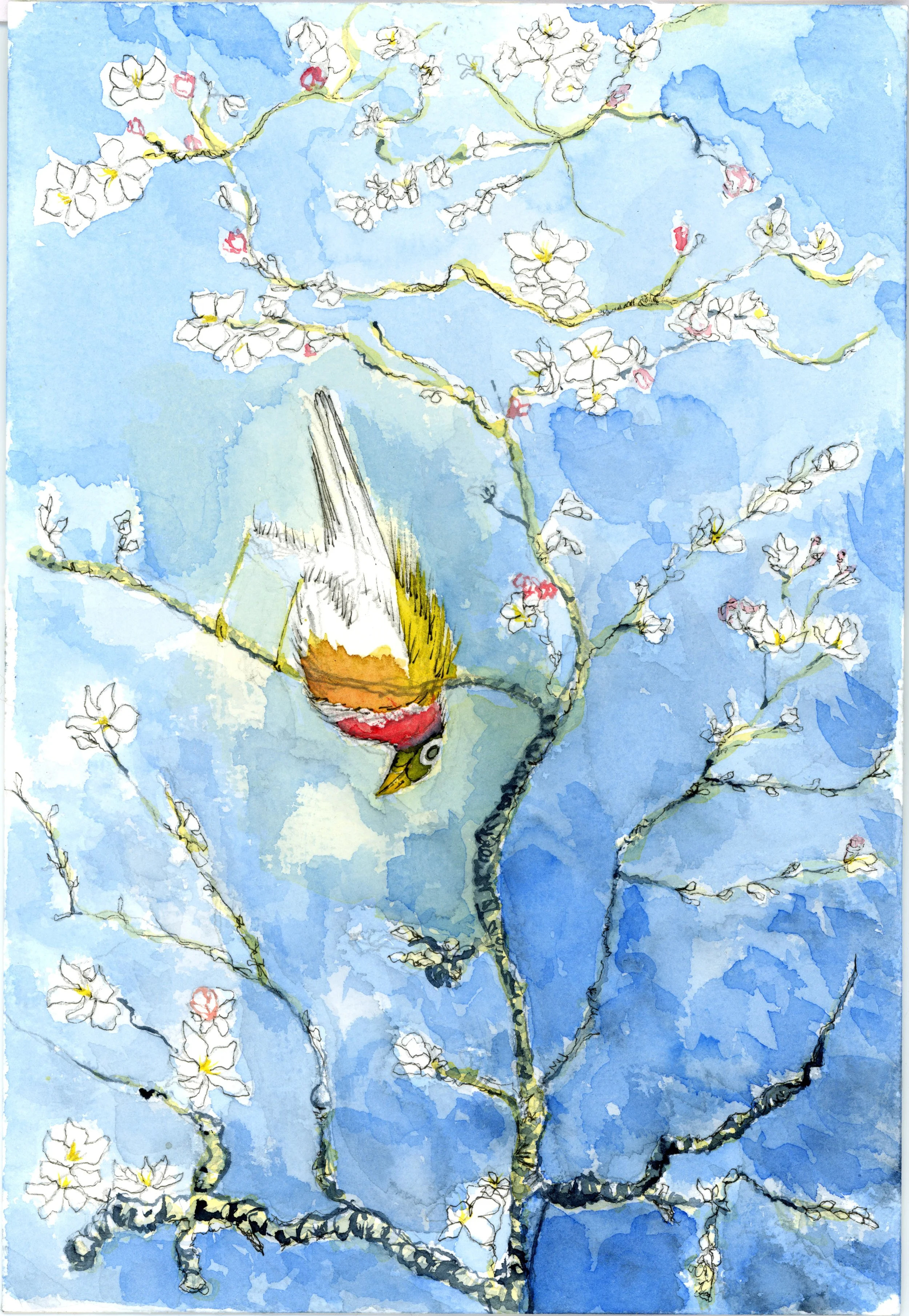 Bullfinch &  Almond Blossom: Small