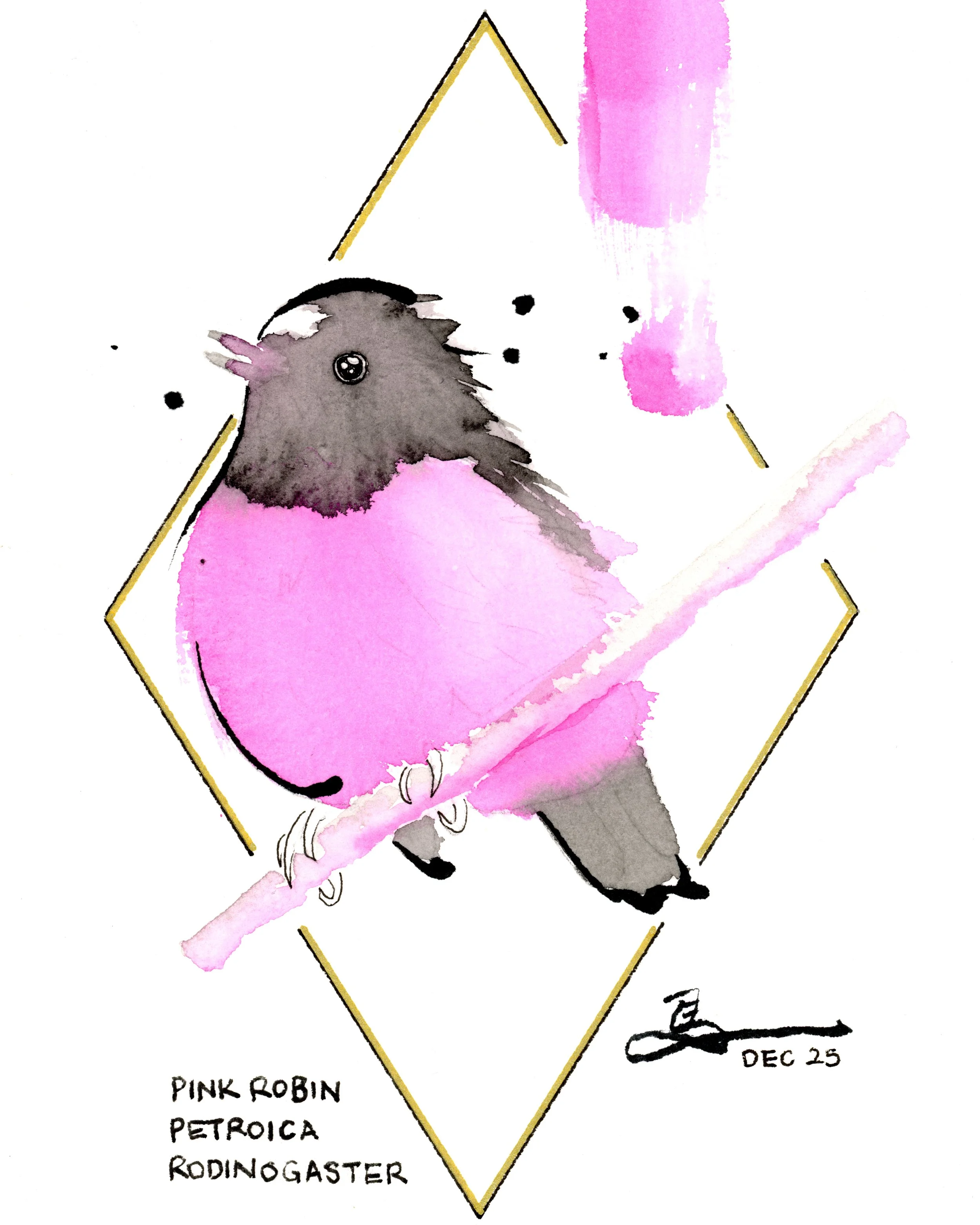 Art Deco Birds: Pink Robin #1