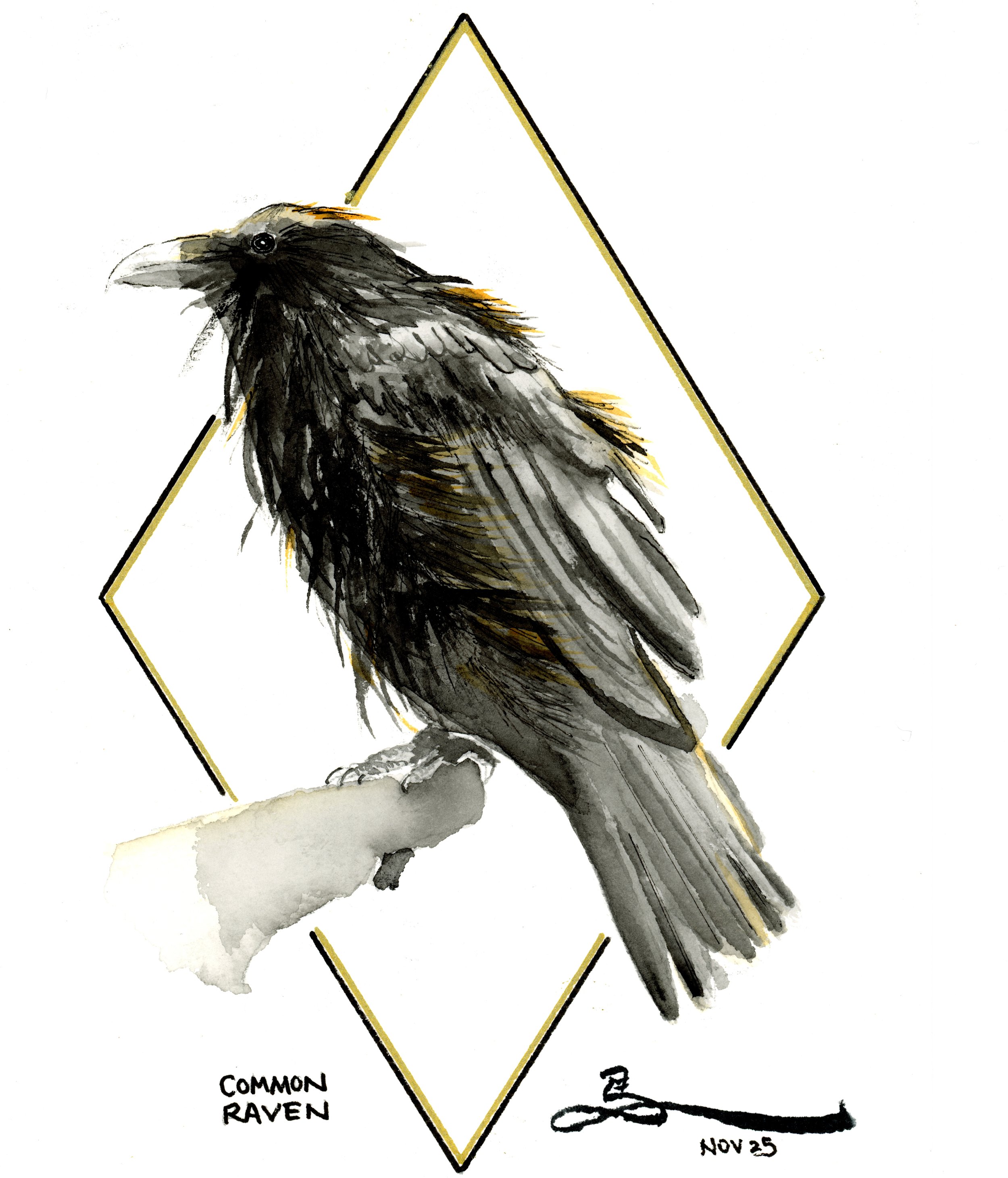 Art Deco Birds: Common Raven #3 (Framed)