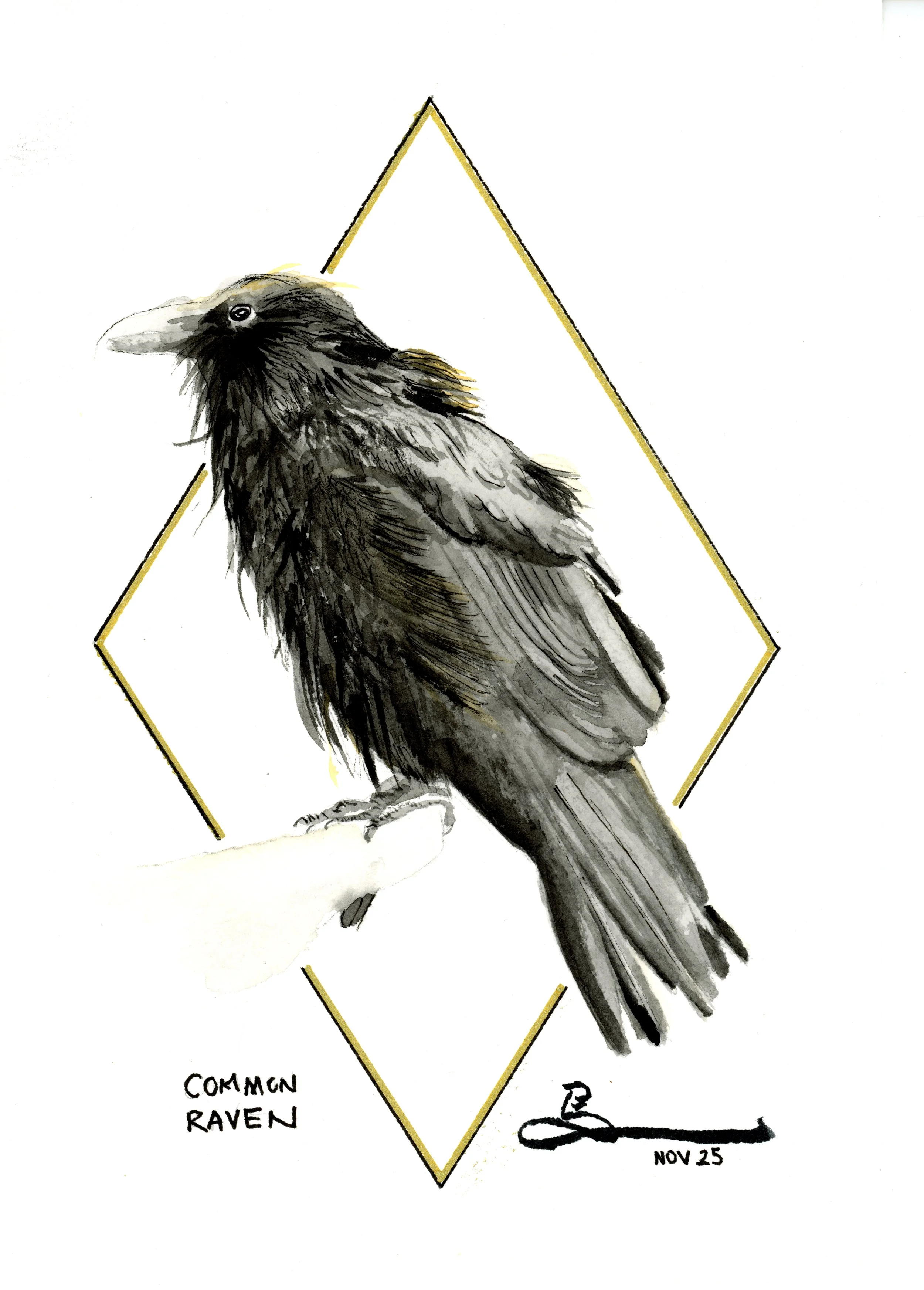 Art Deco Birds: Common Raven #1