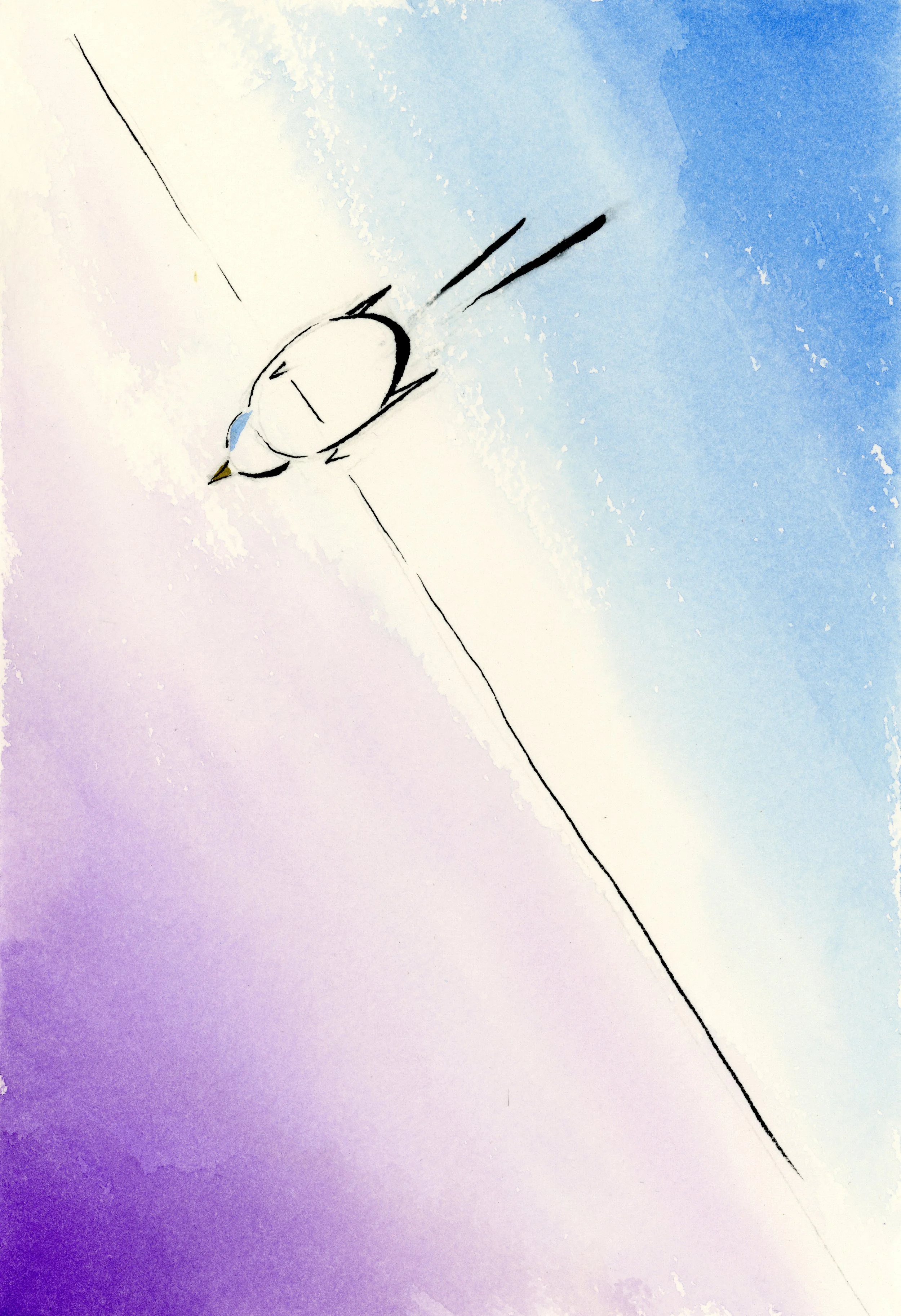 Gradient Birds: #4