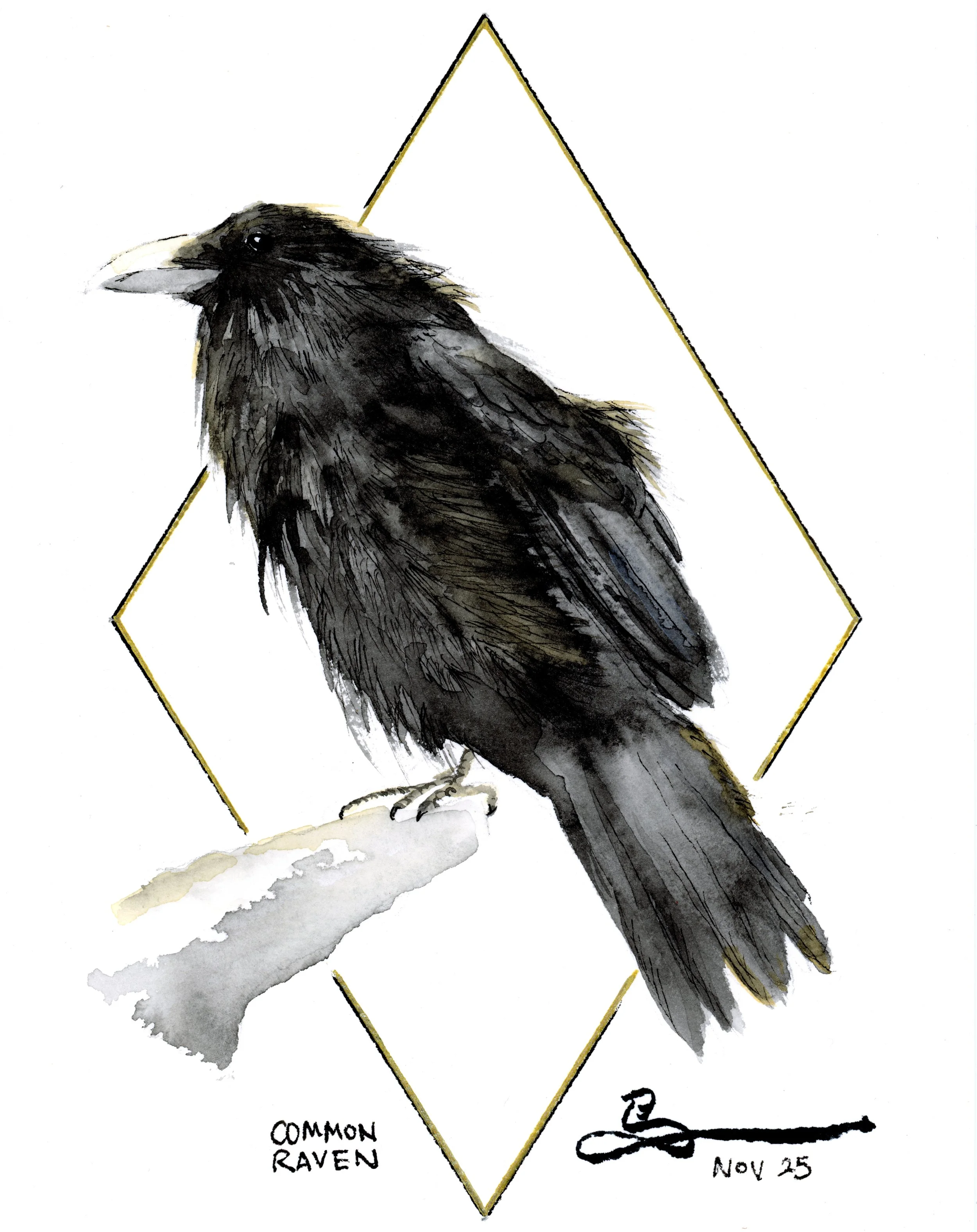 BirdPostCards24.jpg