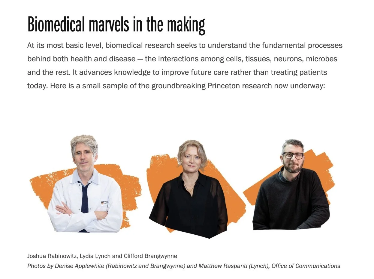 Biomedical Research_002.jpeg