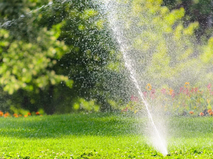 sprinkler1.jpg
