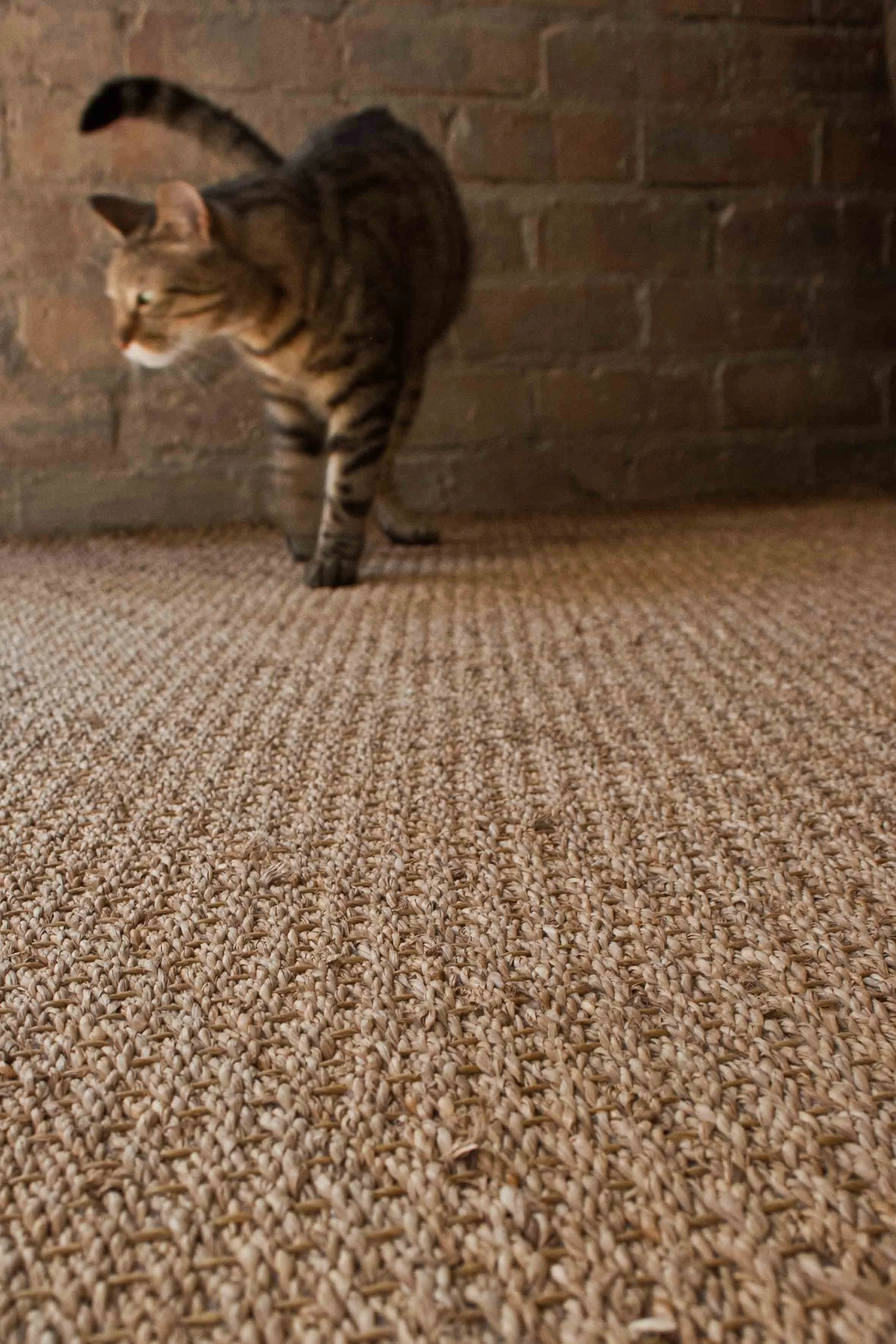 Sisal & Seagrass — Brightfields Natural Trading Company