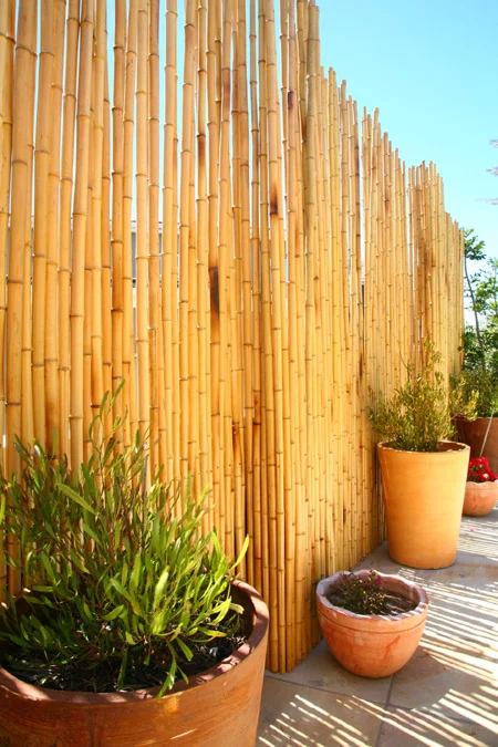 Bamboo Fence2.jpg