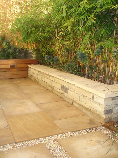 Bamboo Plants For Sale — Brightfields Natural Trading Company