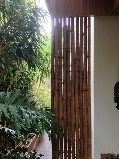 Bamboo-Partition.jpg