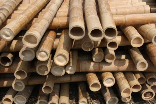 Dried Poles.jpg