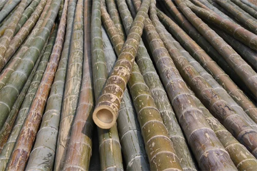 Green poles.jpg