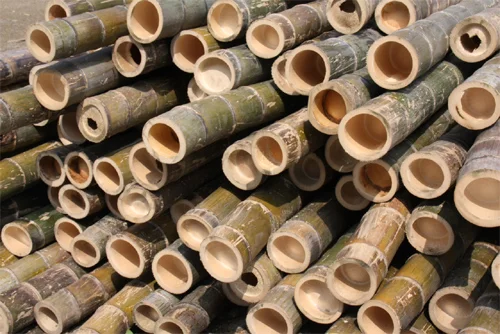 Green poles2.jpg