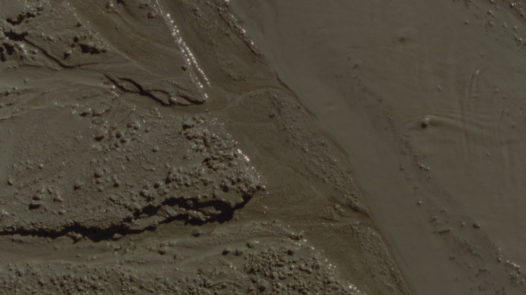 DUST_01.jpg