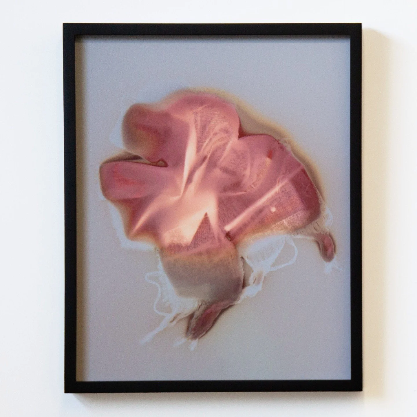 Adrift III (2024), is part of a series of lumen prints created from strips of cotton muslin fabric that have been folded and manipulated to evoke the tactile qualities of rock formations.  
🐚
Part of The Haptics of Optics, curated by Jessica Thalman