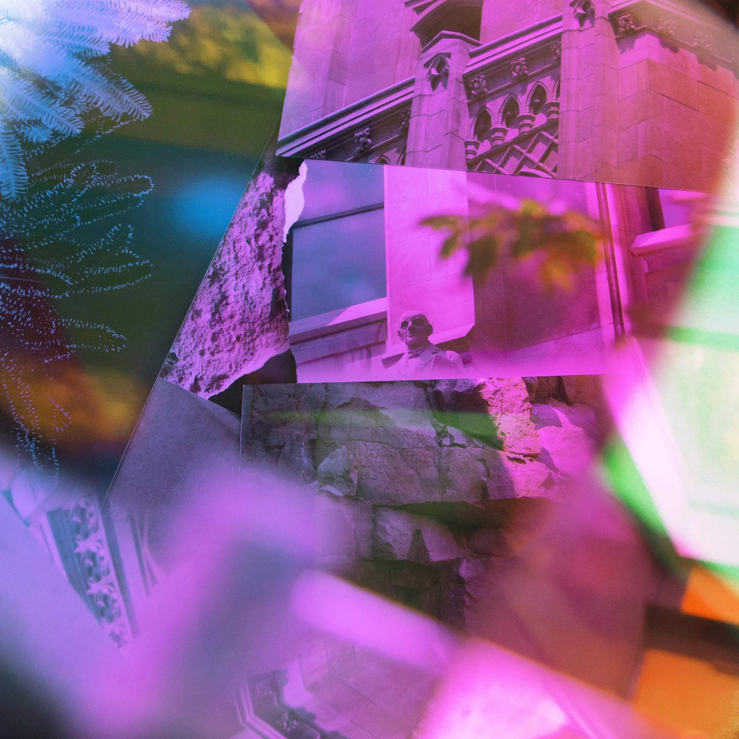 0J4A7527 MULTI.jpg