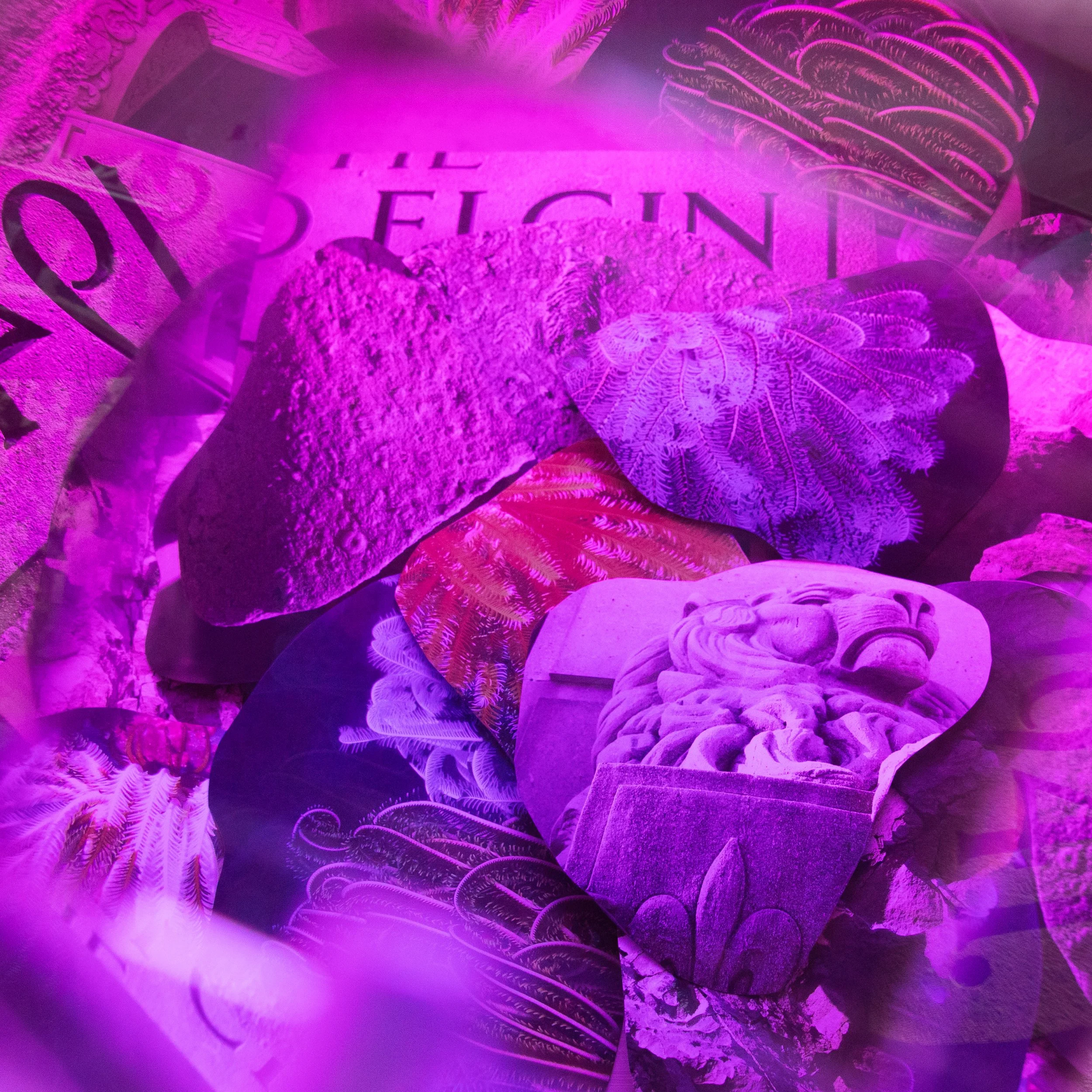 0J4A7446 PINK.jpg