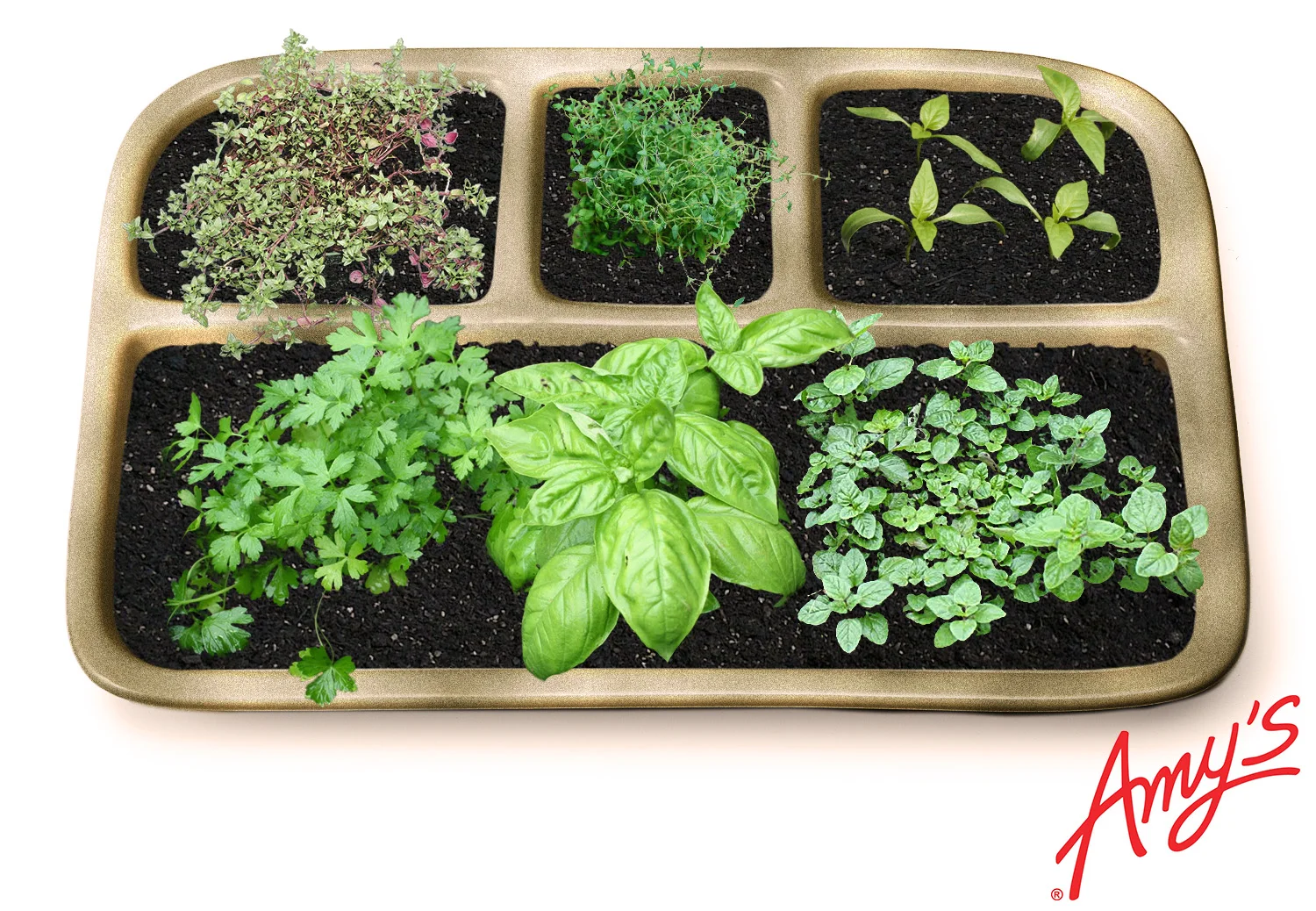 herbtray.jpg