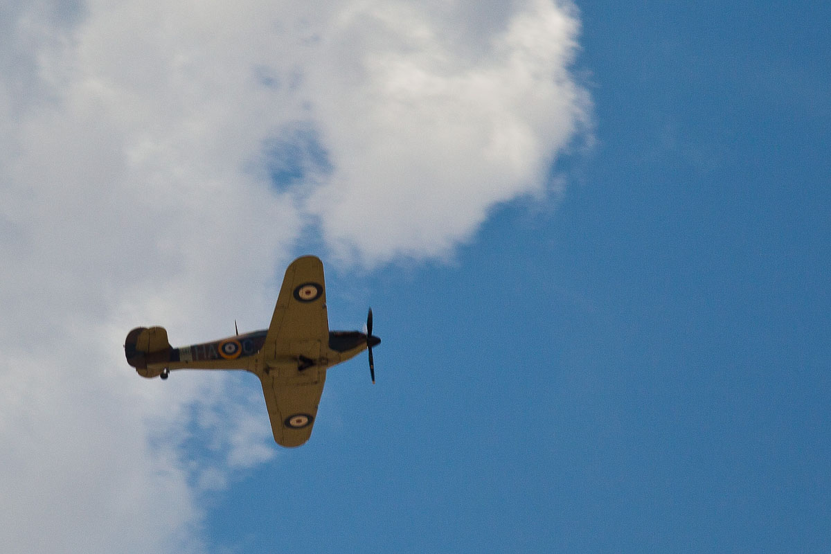 IMG_0592_w-hurricane.jpg