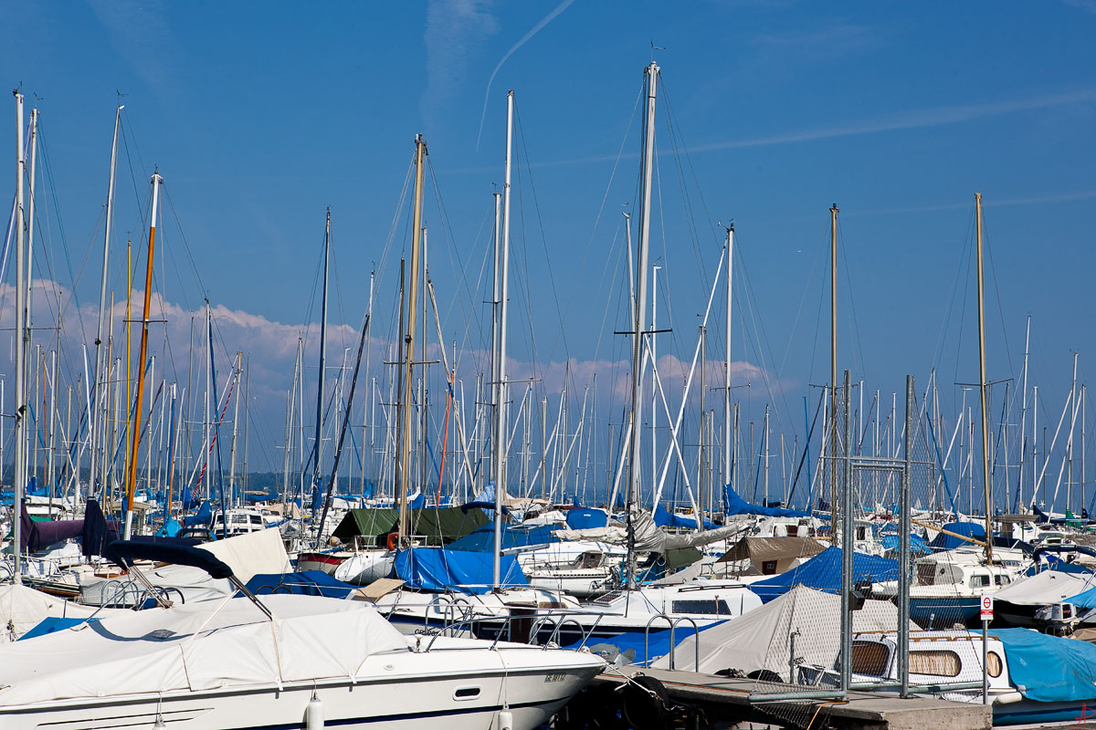 IMG_0893_w.jpg