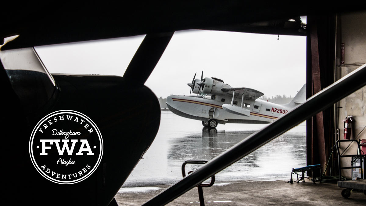The Grumman Goose.