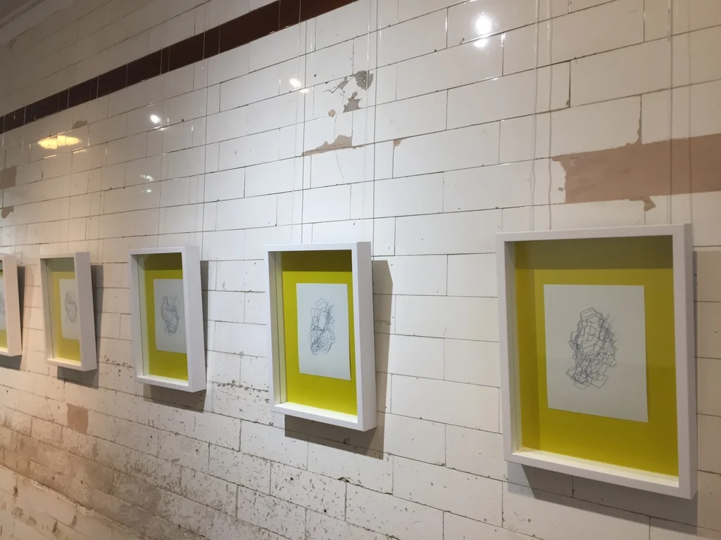 A Year of Cycling, 2017