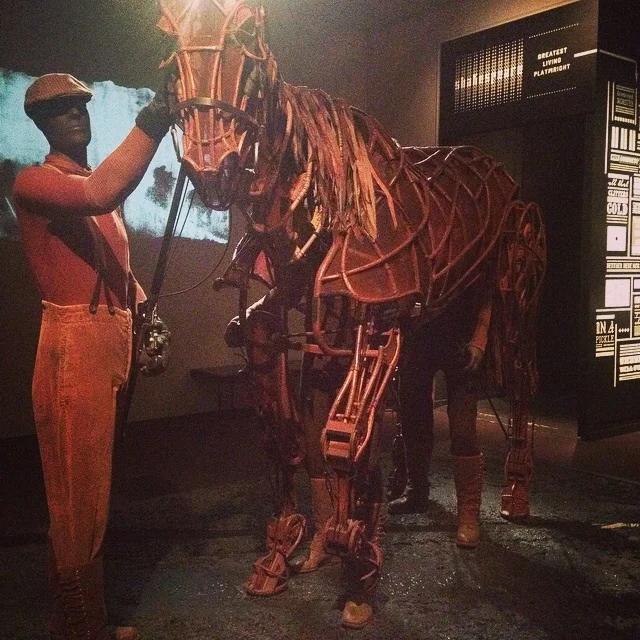 War horse
