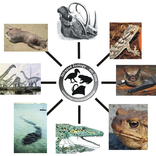 A montage depicting 'things relevant to Tet Zoo' as of July 2011, and used in the article launching Tet Zoo ver 3. 2011 is such a long time ago...