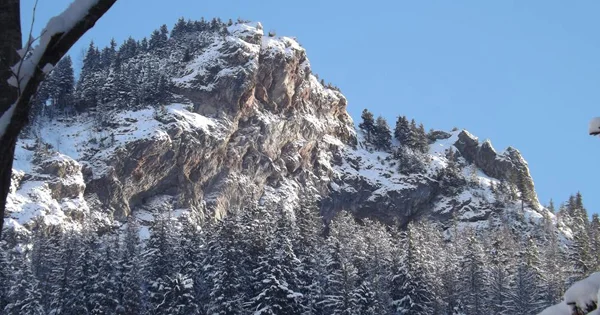 The third (and final) part of the Tet Zoo 12th birthday review - published at Tet Zoo ver 3 - is currently offline because of image permission problems (read on). The article will have to be published here, at ver 4. Here's one of the photos from that article. It shows the High Tatras, Poland. Image: Darren Naish.