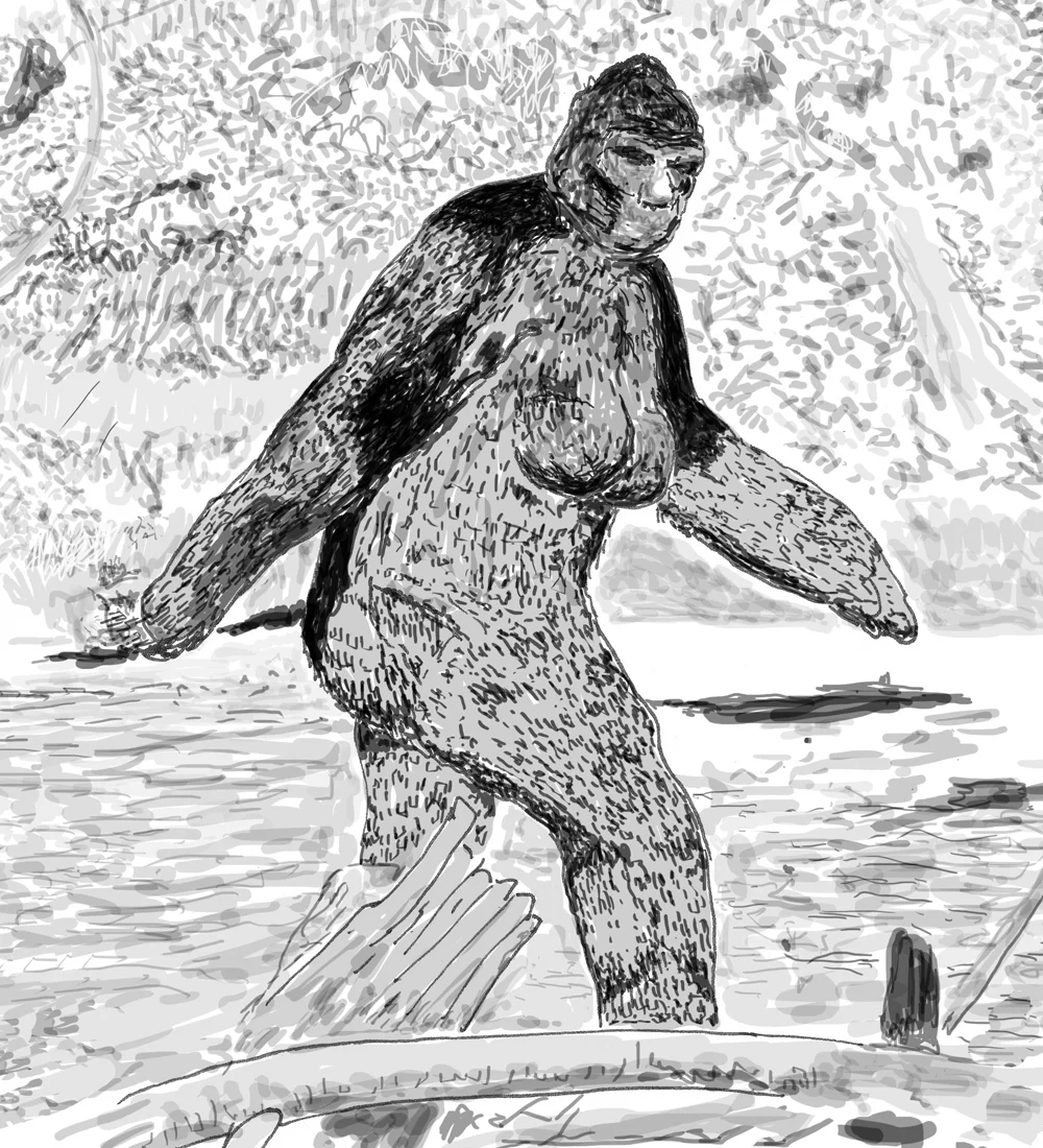 The creature in the Patterson-Gimlin footage of 1967 - now affectionately known as 'Patty' within the Bigfoot research community - seemingly has breasts comparable to those of some humans. Is it coincidental that Roger Patterson was very familiar with William Roe's female Bigfoot of the 1950s (see below)? Or is this consistent with the ostensible biological reality of this animal? Because images of the Patterson-Gimlin film are copyright protected (like virtually all images of Bigfoot), I made this myself and it's available for use. Image: Darren Naish.