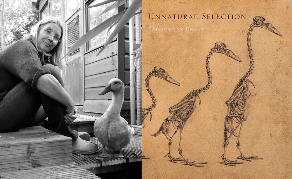 Katrina van Grouw (with duck), and the cover of her amazing 2018 book Unnatural Selection (to be reviewed here, hopefully soon). Images: (c) Katrina van Grouw.
