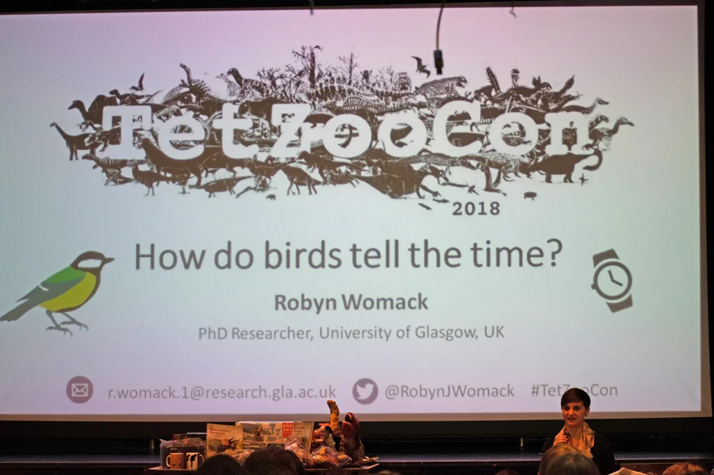 Robyn Womack’s cover slide. Image: Georgia Witton-Maclean.