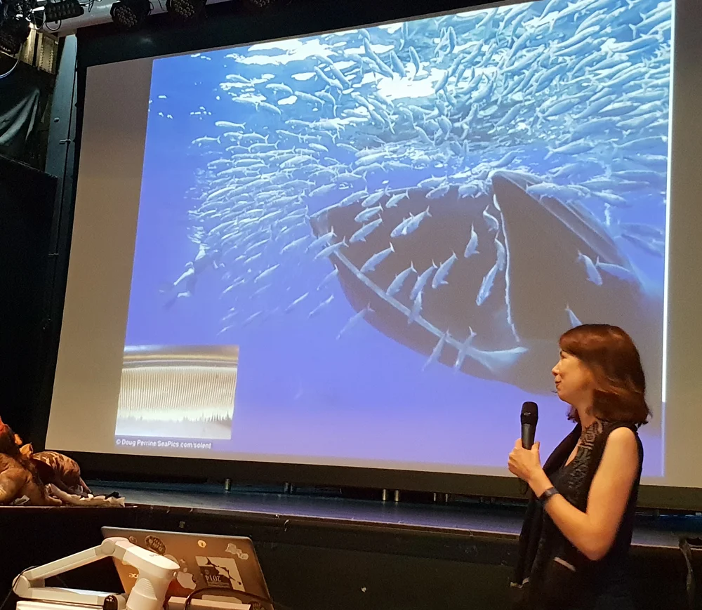 Jenn Jackson gave the most enthralling presentation on baleen whales. Image: Darren Naish.