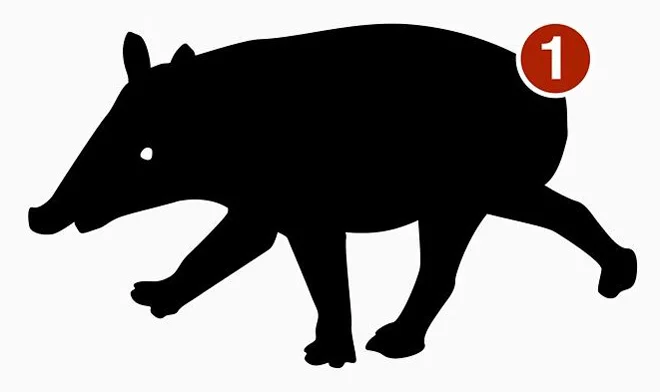 There’s TetZoo HAVE YOU HEARD ABOUT THE NEW TAPIR merchandise. Go here.