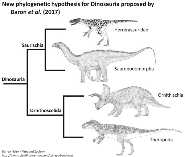 Misreading the Mokele-Mbembe (the Mokele-Mbembe, Part 1) - Scientific  American Blog Network