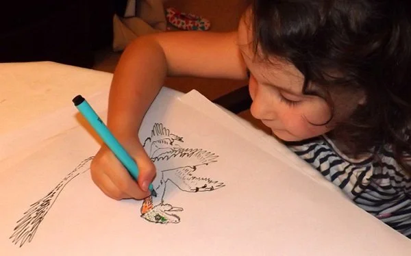 Some of Emma’s drawings feature in the book. No, I’m kidding - they don’t. Or do they . Credit: Darren Naish.