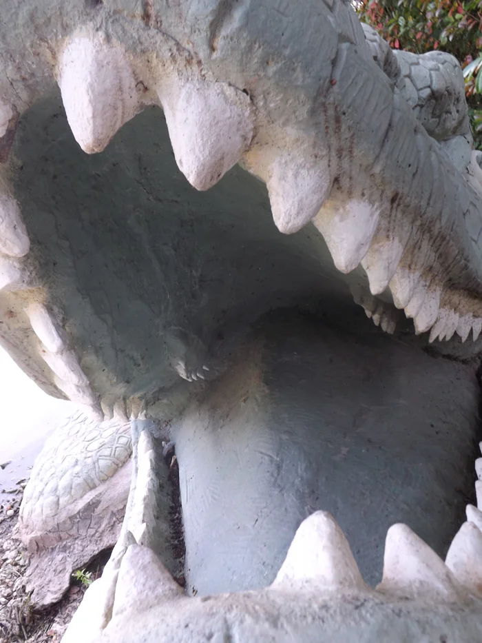 Looking into the mouth of the Mosasaurus . “The large pointed teeth on the jaws are very conspicuous; but, in addition to these, the gigantic reptile had teeth on a bone of the roof of the mouth (the pterygoid), like some of the modern lizards” (Owen 2013, p. 11). Image: Darren Naish.