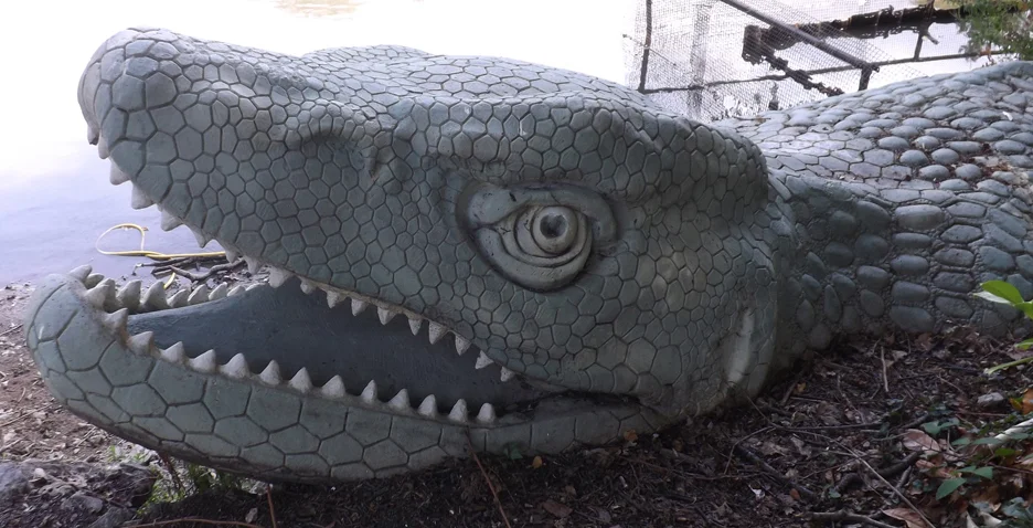 The amazing, enormous head of the Mosasaurus . Many of the scales on the body were recently repaired as the entire skin across the body was in a poor state. More on the mosasaur below. Image: Darren Naish.