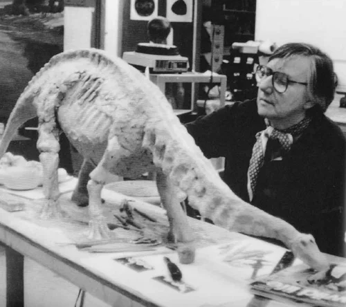 The brilliant, late Ely Kish, one of the best palaeoartists of all time, constructing a scale model of Apatosaurus (in preparation for a large painting). Partly on the advice of palaeontologist Dale Russell, she depicted great lateral concavities on the sides of the neck. Image: Russell (1987).