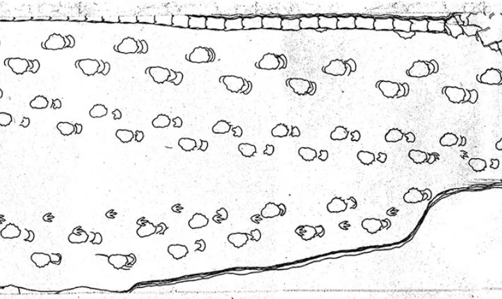 The Life Appearance of Sauropod Dinosaurs — Tetrapod Zoology
