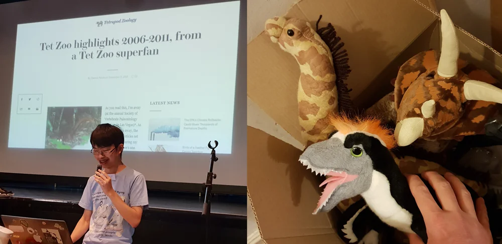 Scenes from TetZooCon 2018. At left, Albert Chen discusses TetZoo. At right: a box of Dinosaurs in the Wild plushies. Images: Darren Naish.