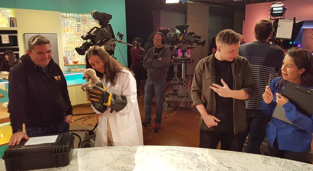 A view from the set of Sunday Brunch , April 2018. Ash, Chrissie and a hatchling Dakotaraptor at left. Image: Darren Naish.
