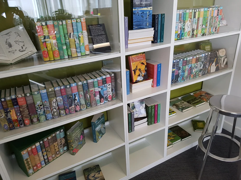 The Collins New Naturalist books on display at the Collins office in London. Most of us own at least a few of these volumes. Image: Darren Naish.