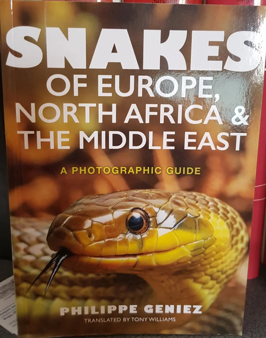 books-Feb-2019-Geniez-Snakes-cover-2-Feb-2019-tiny-Tetrapod-Zoology.jpg