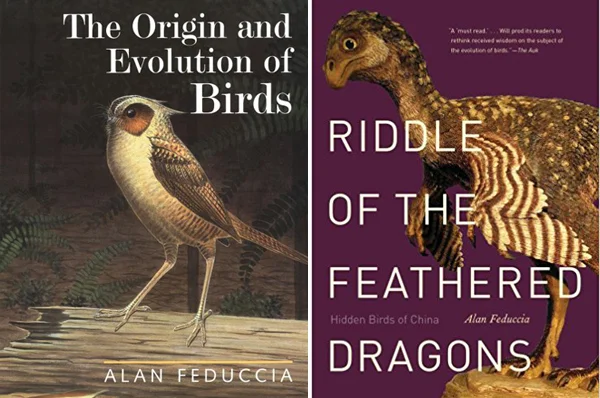 It is a major problem that there has long been a total shortage of reliable books on bird evolution. Alan Feduccia’s books - two of which are shown here - are unreliable and misleading. Images: Yale University Press (left); Yale University Press (right) .