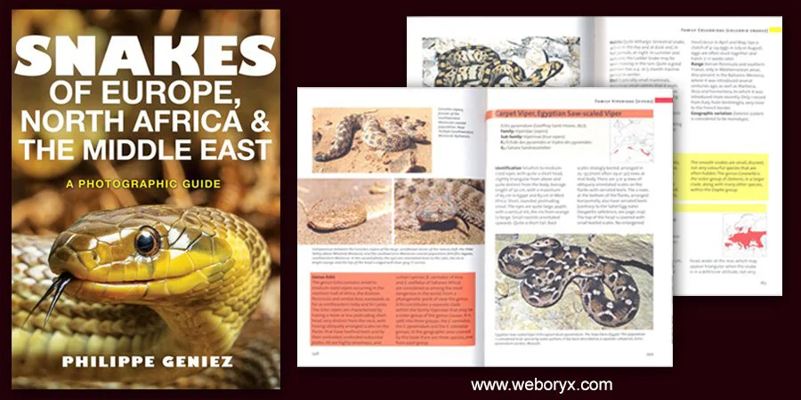 Pages from Geniez (2018) . It’s a great-looking book. Image: weboryx.com twitter account.