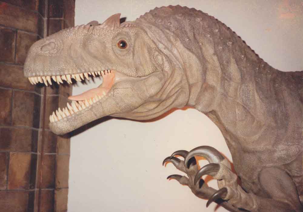 Stephen Czerkas’s brilliant Allosaurus model at the Natural History Museum, London (as demonstrated by the accompanying stonework) in 1990. Note that the model is in a different position relative to where it is in Spike’s photos shown above. Image: Darren Naish.